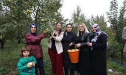 Topuklu ayakkabılı iş kadınlarıyla şalvarlı köylü kadınları aynı tarlada aynı amaç için buluştu.