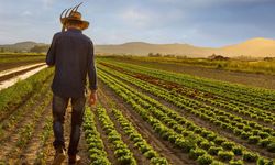 Köye dönene hibe desteği geliyor!