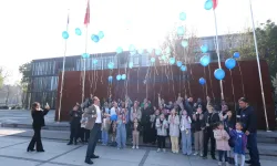 Bursa İnegöl'de Dünya Diyabet Günü'ne özel etkinlik