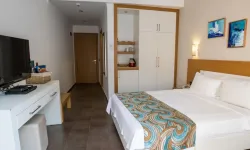 Ruhsat yönetmeliği sil baştan