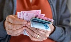 TÜİK emeklinin durumunu rakamlarla açıkladı