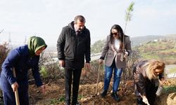 Gürsu Karahıdır Köyü’nde Orman Yangınları Sonrası Fidan Dikim Etkinliği Düzenlendi