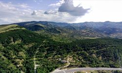 Türkiye dünyada ormanlık alanını en fazla artıran ülkeler arasına girdi