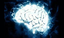 Hareketsiz yaşam beyni tehdit ediyor