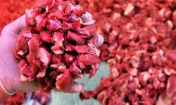 Kuşbaşının kilosu bin lira oldu