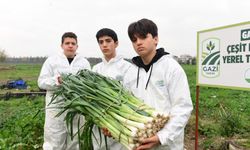 Osmangazi’de Pırasa Hasadıyla Doğallık Sofralara Taşınıyor