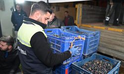 Zeytinciye Belediyeden Büyük Destek