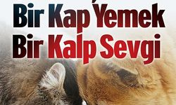 Büyükşehir Kent Konseyi Hayvan Hakları Grubu’ndan Anlamlı Dayanışma