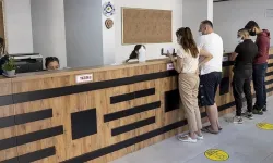 Noterlerin kazancı dudak uçuklattı