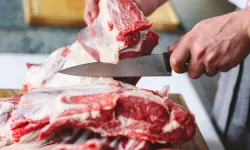 Kırmızı et fiyatında düşüş için zaman verdi