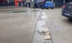 Zümrütevler Çiçek Caddesi’nde Haftalardır Süren Skandal İhmal