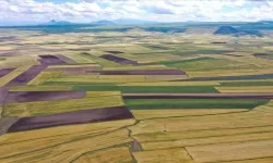 Tarla ve arsa satışı 2025'te 1,6 milyonu geçti