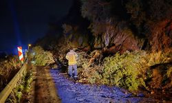 Bursa'da heyelan! Yol ulaşıma kapandı