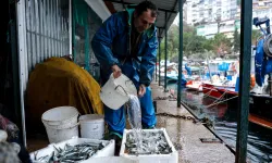 Bursa'da yüzde 100 hibeli mazot desteğine yoğun ilgi