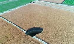 Bursa Ovası Alt Üst Oluyor