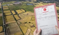 Bu şehirde tapusu olan kira artışından köşeyi döndü