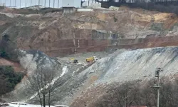 TMMOB Çevre Mühendisleri Odası'ndan Bursa'daki çevre felaketi için soruşturma talebi