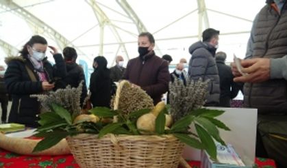 Bursa’da Tohum Takas Şenliği’nde 15 bin yerli tohum dağıtıldı