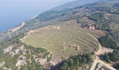 Bursa’da maden ocakları ağaçlandırılıyor