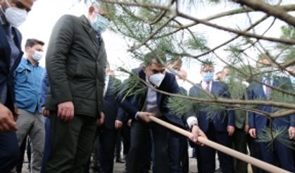 Gökdere Millet Bahçesi’nin ilk fidanı Bakan Kurum’dan