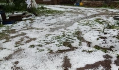 Bursa’da dolu yağışı mahsülleri vurdu