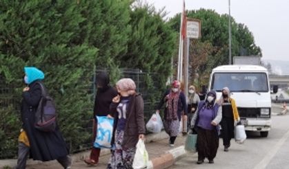 Korsan servis trafikten menedildi, mevsimlik işçiler yürüyerek gitti