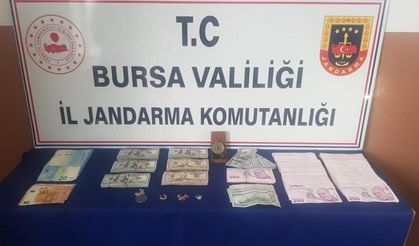 Bakıcısı olduğu villadan milyonluk döviz çaldı