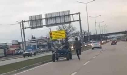 Sürücüsüz at arabası trafiği birbirine kattı!