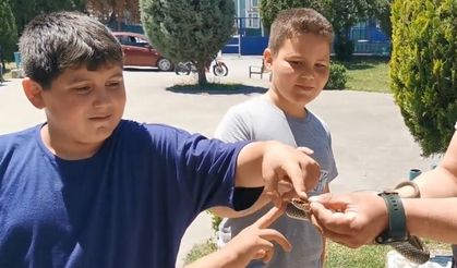Yılanı yakalayıp çocuklara sevdirdi
