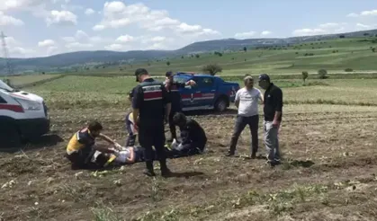 Bursa'dan Kalkan Uçak Bilecik'te Ters Döndü! Pilot Hastanede