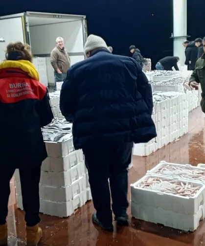 Bursa'da 150 kilogram tekir balığına el konuldu