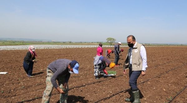 Mevsimlik tarım işçileri Bursa’ya geldi
