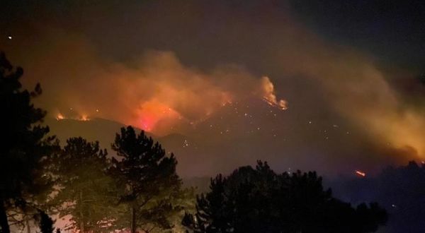 Kütahya'daki orman yangınına müdahale gece gündüz devam ediyor