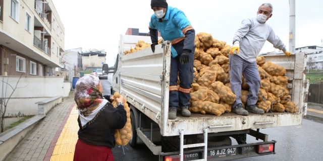 Nilüfer Belediyesi’nden patates üreticisine destek