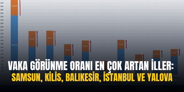 Vaka görünme oranı en çok artan iller: Samsun, Kilis, Balıkesir, İstanbul ve Yalova