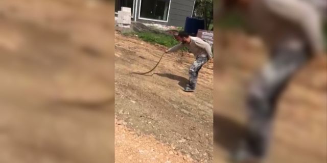 Yolda bulduğu yılanla oyuncak gibi oynadı