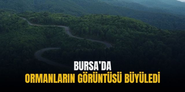 Bursa’da ormanların görüntüsü büyüledi