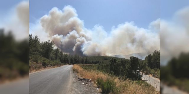 Bodrum ve Didim'de de orman yangınları çıktı