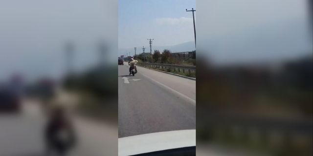 Bursa’da köpeğin motosiklet arkasındaki tehlikeli yolculuğu kameraya yansıdı