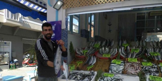Marmara’da sıcaklık düşünce balık fiyatları geriledi