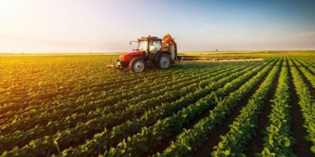 Tarım-ÜFE yıllık yüzde 24,35 arttı