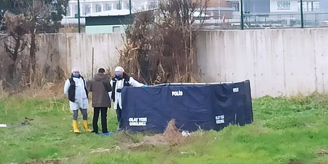 Bursa'da köpekler tarafından parçalanmış erkek cesedi bulundu