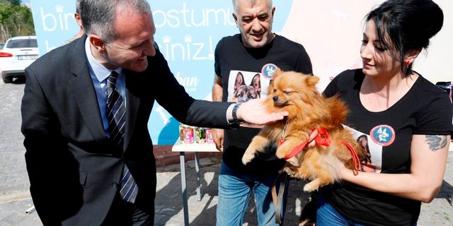 4 bin 476 can dostu İnegöl Belediyesi ile hayata tutundu