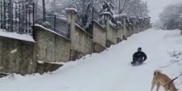 4 metre havalanarak ağaca böyle çarptı