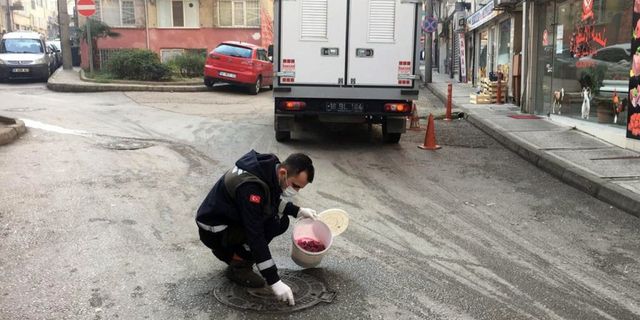 Osmangazi Belediyesi haşerelere karşı tedbirli