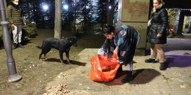 Ankara'da zehirlenen köpekler telef olurken o başından ayrılmadı