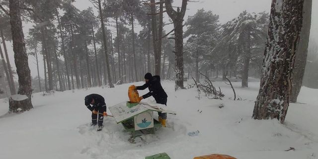 Osmangazi Belediyesi, Can dostları soğuk havalarda unutmadı