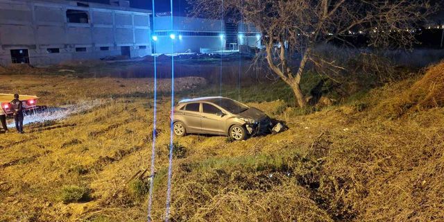 Bursa'da köpeğe çarpan otomobil şarampole uçtu