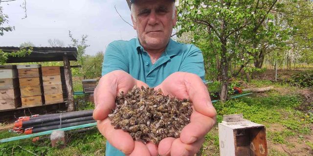Bursa’da yüzlerce kovan arı telef oldu
