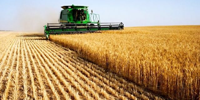 Tarım-ÜFE yıllık yüzde 148,90 arttı!